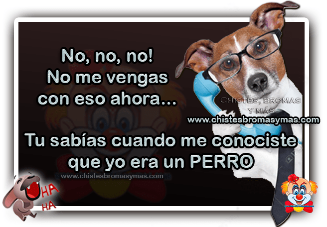 Tú sabías quién era YO - Chistes gráficos de animales