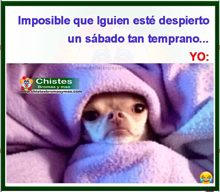 Imposible que alguien este despierto un sábado tan temprano
