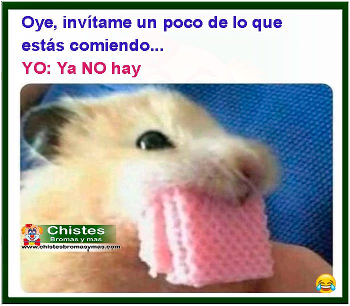 Oye invítame un poco de lo que estás comiendo... Yo: Ya no hay