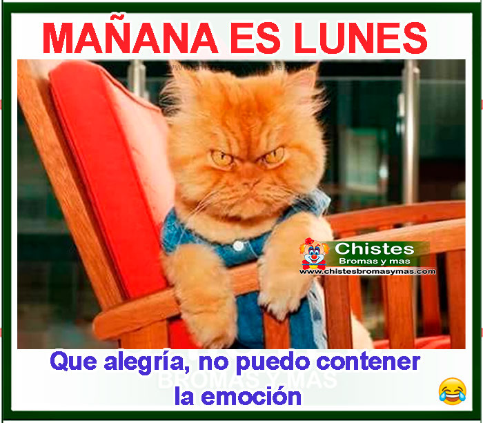 mañana es lunes, que alegría, no puedo contener la emoción