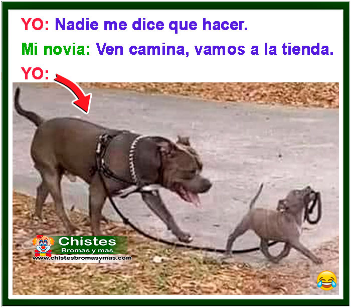 Nadie me dice que hacer