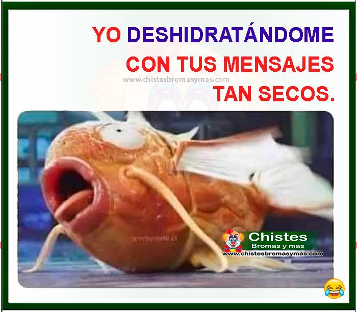 YO DESHIDRATÁNDOME CON TUS MENSAJES TAN SECOS