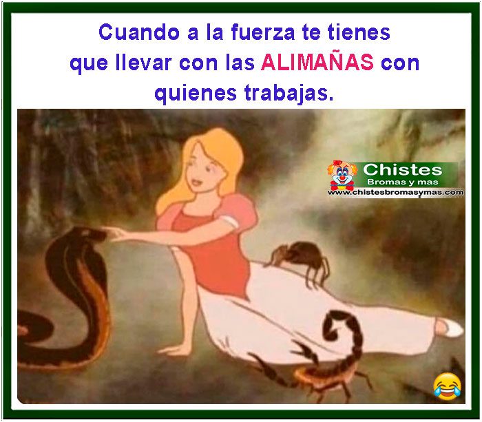 Cuando a la fuerza te tienes que llevar con las alimañas con quienes trabajas
