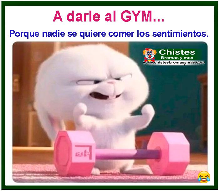 A darle duro al gym, porque nadie quiere comer sentimientos