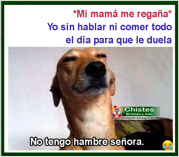 Mi mamá me regaña... Yo sin hablar ni comer todo el día para que le duela. No tengo hambre señora.