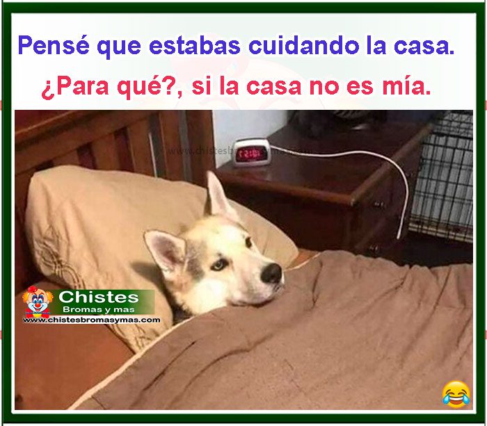 Pensé que estabas cuidando la casa ¿Para qué si la casa no es mía