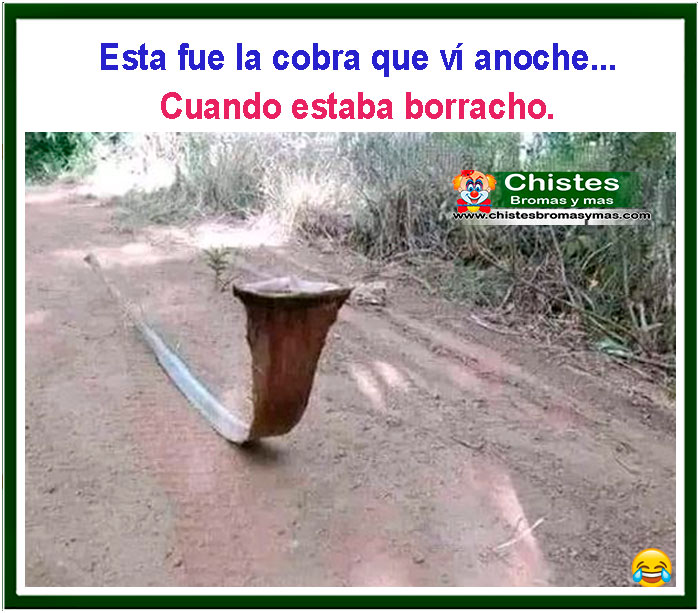 Esta es la cobra que vi anoche cuando estaba borracho