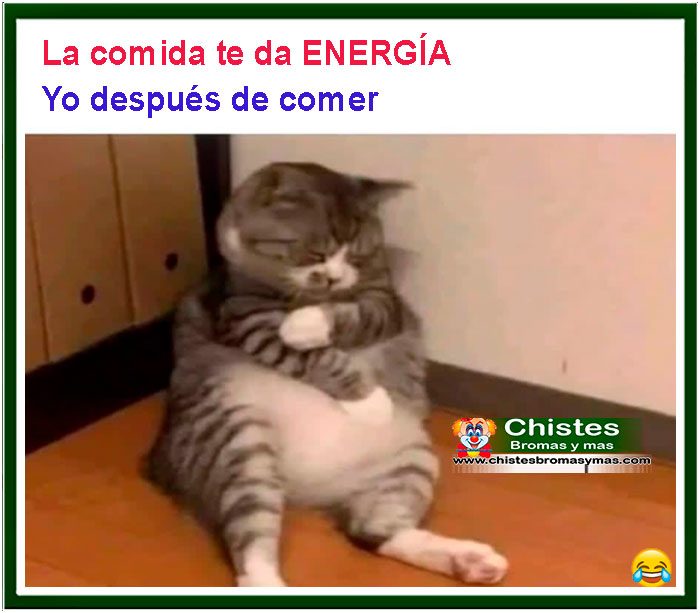 la comida te da energía