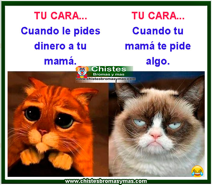 tu cara cuando le pides dinero a tu mama, tu cara cuando tu mama te pide algo