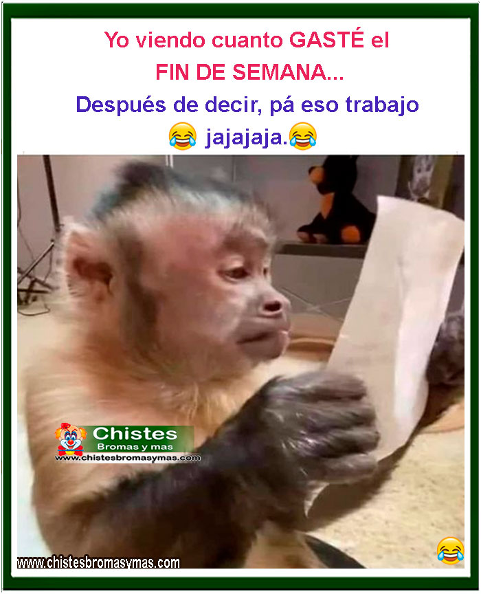 yo el fin de semana despues de decir para eso trabajo